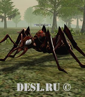   (Gray Ant) Lvl. 26, ID. 20226