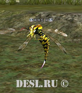   (Stinger Wasp) Lvl. 30, ID. 20229