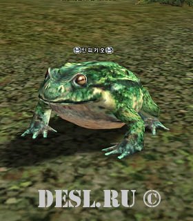   (Toad Lord) Lvl. 32, ID. 20231