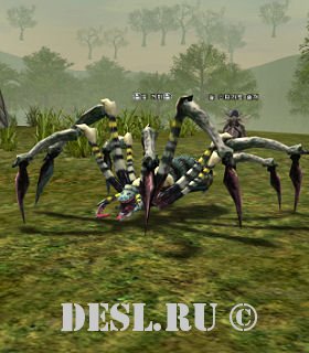   (Marsh Spider) Lvl. 34, ID. 20233