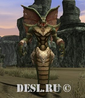   (Cave Keeper) Lvl. 58, ID. 20246