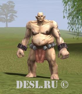   (Turak Bugbear) Lvl. 31, ID. 20248