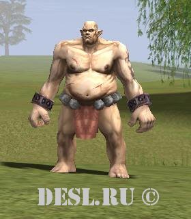    (Turak Bugbear Warrior) Lvl. 33, ID. 20249