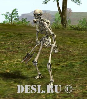    (Skeleton Axeman) Lvl. 28, ID. 20254