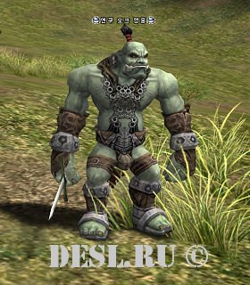    (Enku Orc Champion) Lvl. 21, ID. 20291
