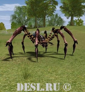   (Hook Spider) Lvl. 16, ID. 20308