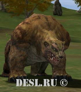   (Brown Bear) Lvl. 16, ID. 20310