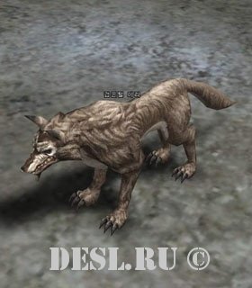    (Black Timber Wolf) Lvl. 6, ID. 20318