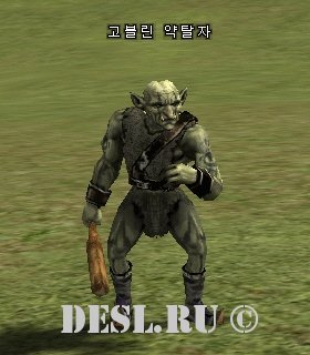   (Goblin Raider) Lvl. 5, ID. 20325