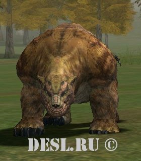  (Grizzly Bear) Lvl. 17, ID. 20335