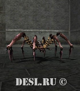   (Cave Spider) Lvl. 15, ID. 20348