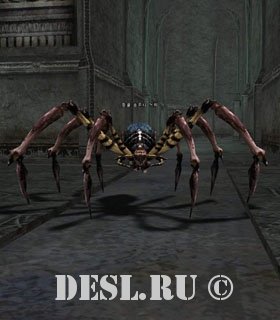    (Cave Fang Spider) Lvl. 16, ID. 20350