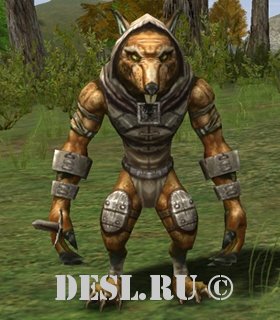   (Ratman Hunter) Lvl. 18, ID. 20358