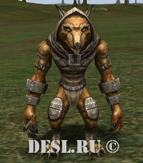   (Ratman Spy) Lvl. 16, ID. 20360