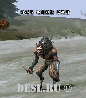    (Maraku Werewolf Chieftain) Lvl. 14, ID. 20364
