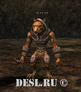    (Boogle Ratman Leader) Lvl. 18, ID. 20390