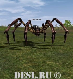    (Red Scavenger Spider) Lvl. 16, ID. 20393