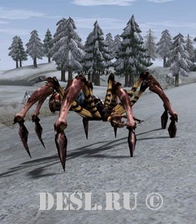   (Hunter Tarantula) Lvl. 16, ID. 20403