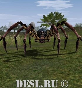   (Scavenger Spider) Lvl. 15, ID. 20410