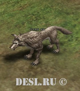   (Elder Wolf) Lvl. 5, ID. 20442