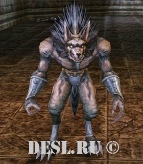   (Relic Werewolf) Lvl. 9, ID. 20450