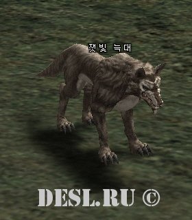   (Ashen Wolf) Lvl. 4, ID. 20456