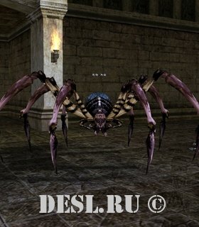   (Dungeon Spider) Lvl. 15, ID. 20461
