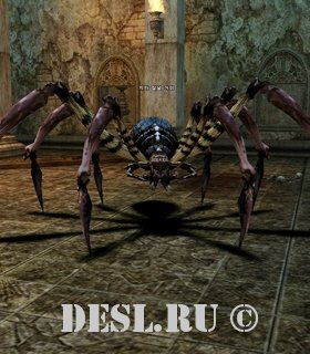    (Cave Blade Spider) Lvl. 17, ID. 20462
