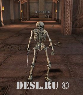   (Dungeon Skeleton) Lvl. 12, ID. 20464