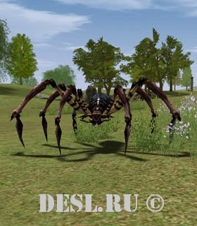   (Pincer Spider) Lvl. 17, ID. 20466