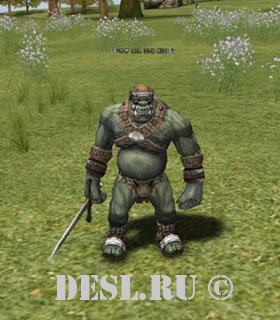      (Kaboo Orc Fighter Leader) Lvl. 12, ID. 20472