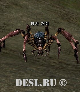 Паук Кхаши (Kasha Spider) Lvl. 15, ID. 20474