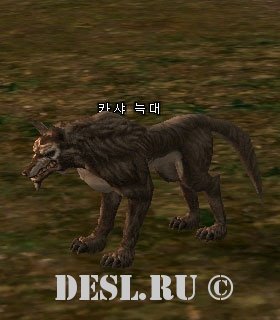   (Kasha Wolf) Lvl. 4, ID. 20475