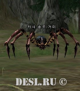    (Kasha Fang Spider) Lvl. 16, ID. 20476