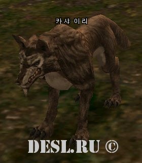    (Kasha Timber Wolf) Lvl. 6, ID. 20477