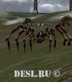    (Kasha Blade Spider) Lvl. 17, ID. 20478