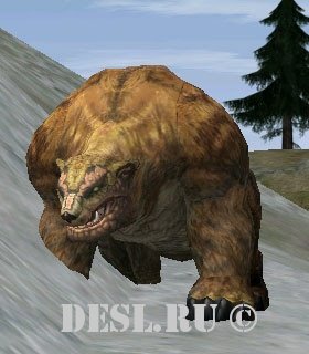   (Kasha Bear) Lvl. 15, ID. 20479