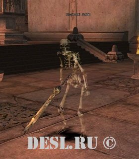   (Kirunaks Guards) Lvl. 21, ID. 20492
