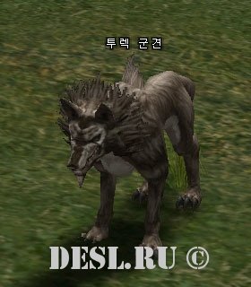   (Turek War Hound) Lvl. 24, ID. 20494
