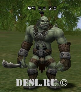    (Turek Orc Warlord) Lvl. 30, ID. 20495