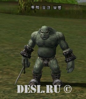    (Turek Orc Footman) Lvl. 26, ID. 20499