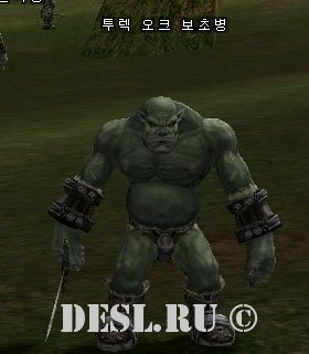    (Turek Orc Sentinel) Lvl. 25, ID. 20500