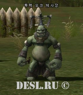    (Turek Orc Shaman) Lvl. 29, ID. 20501