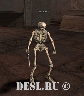   (Dread Soldier) Lvl. 14, ID. 20504