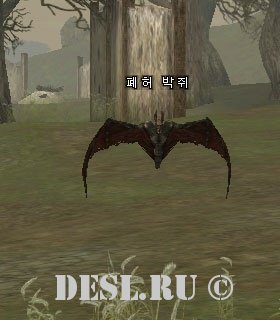   (Ruin Bat) Lvl. 20, ID. 20505