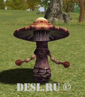   (Spore Fungus) Lvl. 9, ID. 20509