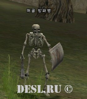   (Shield Skeleton) Lvl. 15, ID. 20514