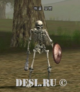   (Skeleton Infantryman) Lvl. 16, ID. 20515