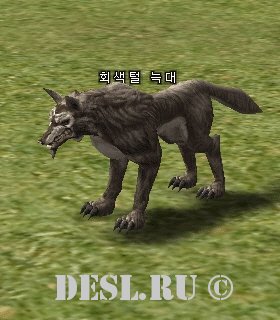   (Gray Wolf) Lvl. 4, ID. 20525