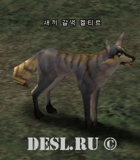    (Young Brown Keltir) Lvl. 1, ID. 20529